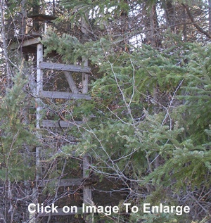 concealed deer stand