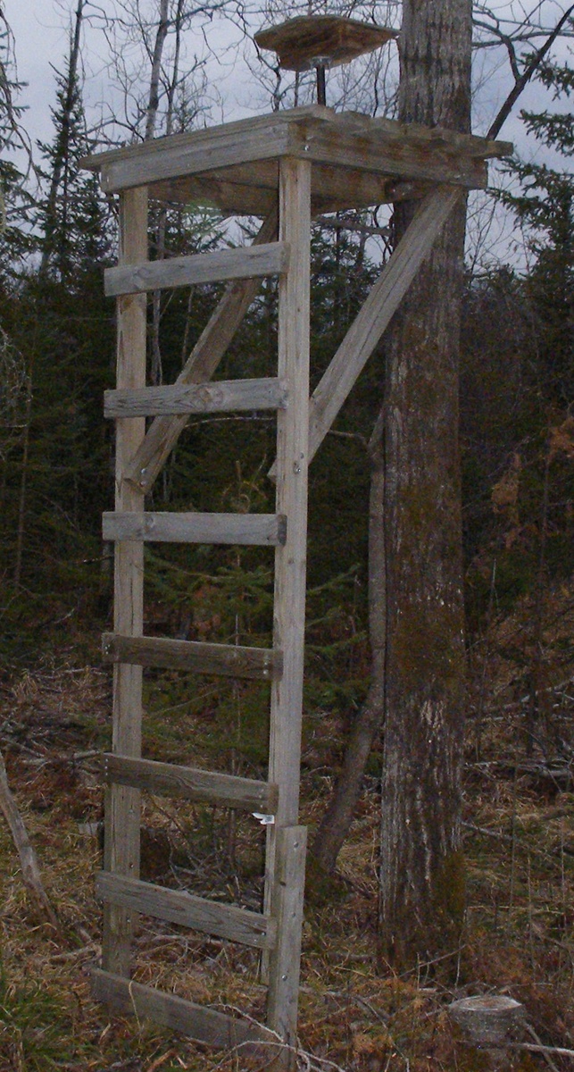 homemade deer ladder stands homemade deer hunting tree stands deer box